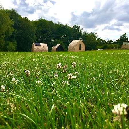 Alder Pod, Clay Bank Huts Hotell Ingleby Greenhow Eksteriør bilde