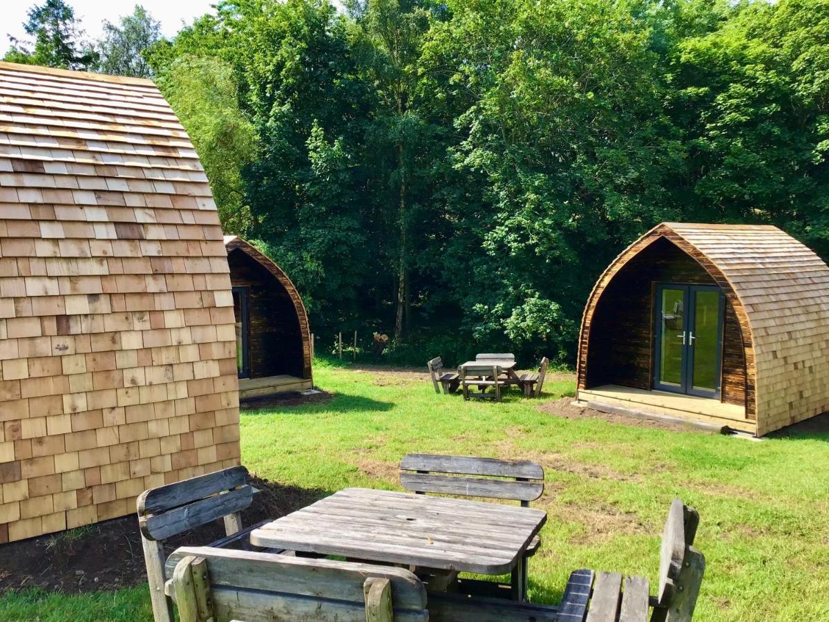 Alder Pod, Clay Bank Huts Hotell Ingleby Greenhow Eksteriør bilde